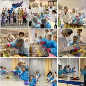 🌊НА ВОЛНАХ РАЗВИТИЯ📈