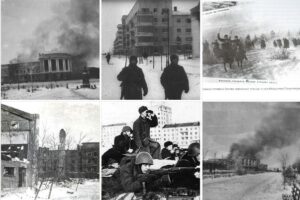 12 декабря отмечается День освобождения Новомосковска (Сталиногорска) от немецко-фашистских захватчиков в 1941 году в рамках Битвы под Москвой.