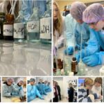 Профессиональные пробы: открываем мир профессий!