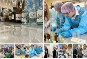 Профессиональные пробы: открываем мир профессий!