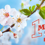 Лаборант: невидимый герой науки, медицины и промышленности!