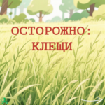 Памятка по профилактике укусов клещей